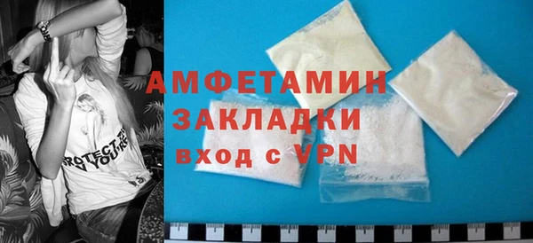 индика Волосово