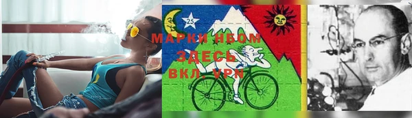 индика Волосово