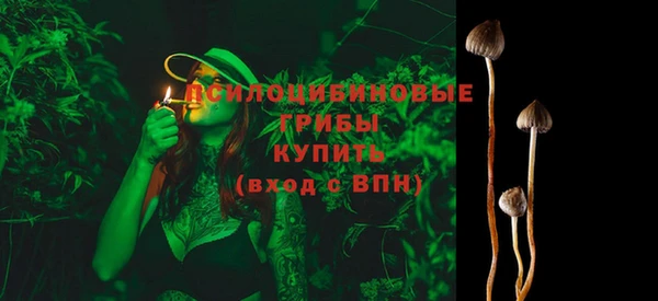 индика Волосово