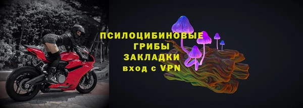 твердый Володарск