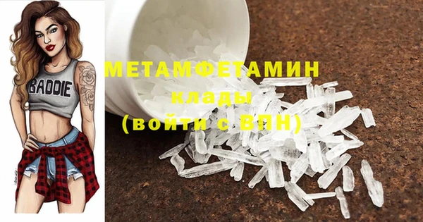 индика Волосово