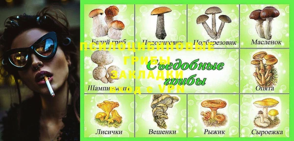 ПСИЛОЦИБИНОВЫЕ ГРИБЫ Волоколамск