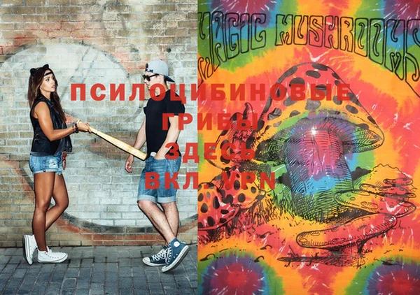 ПСИЛОЦИБИНОВЫЕ ГРИБЫ Волоколамск