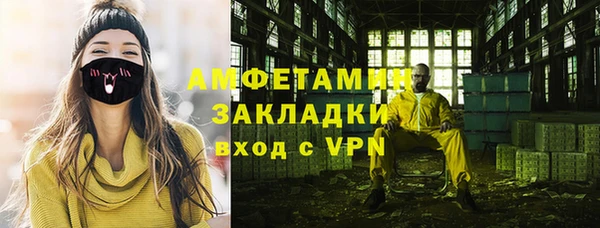 индика Волосово