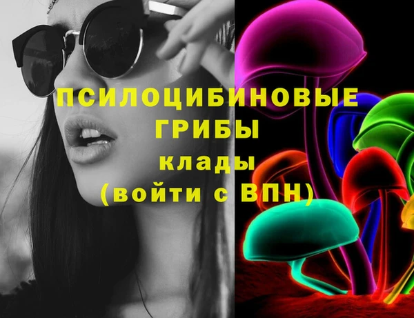 твердый Володарск