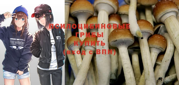 индика Волосово