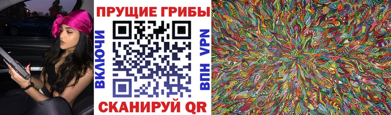 Галлюциногенные грибы Magic Shrooms  Купить  Кстово 
